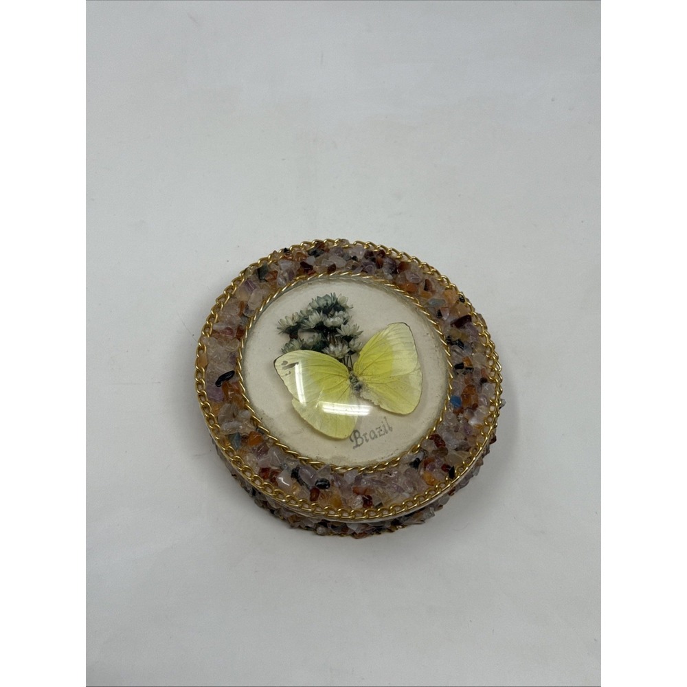 Vintage Real Butterfly Taxidermy‎ Round Convex Glass Stone Box Brazil Brasil